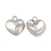 304 Stainless Steel Charms STAS-A070-30P