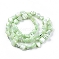Fili di perle di conchiglia trochid naturale / trochus&nbsp;SSHEL-N032-49-A04