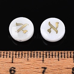 Perles de coquillages naturels d'eau douce&nbsp;BSHE-ZX007-03D