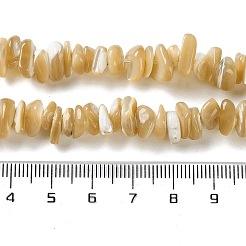 Natürliche Trochusmuschelperlenstränge&nbsp;SHEL-G020-01