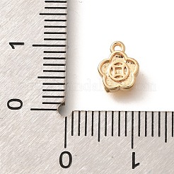 Charms in ottone&nbsp;KK-C085-05G