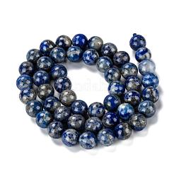 Natürliche Lapislazuli runde Perle Stränge&nbsp;G-E262-01-8mm