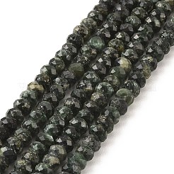 Naturperlen Stränge SERAPHINITE&nbsp;G-K376-E06-4x6mm