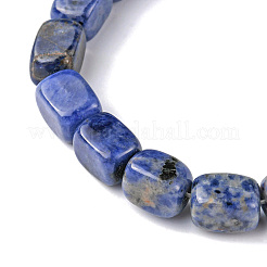 Natur Sodalith Perlen Stränge&nbsp;G-F743-02I