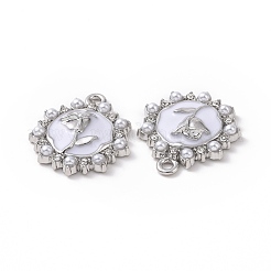 Pendentifs d'émail en alliage&nbsp;FIND-I020-06P