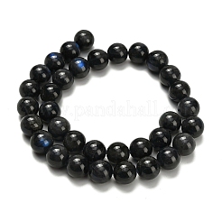 Natürliche schwarze Labradoritperlenstränge&nbsp;G-L642-B15-12mm