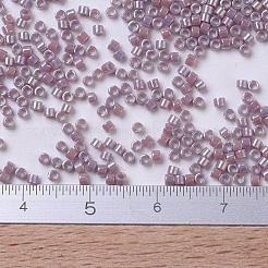 Miyuki Delica Perlen&nbsp;X-SEED-J020-DB0158