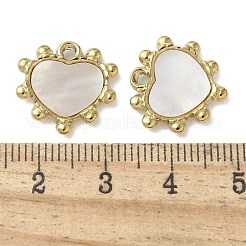 Anhänger aus Edelstahl 304 mit natürlicher Paua-Muschel/weißer Muschel&nbsp;STAS-U037-06G-02