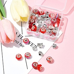 Kit de fabrication de perles européennes en alliage et résine de style tibétain&nbsp;DIY-FS0006-78E