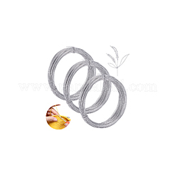 Fil de fer rond&nbsp;AJEW-WH0502-55B