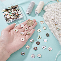 100 Stück natürliche Paua-Muschelknöpfe&nbsp;BUTT-GA0001-33