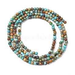 Natürliche afrikanische türkis (jasper) perlen stränge&nbsp;G-K366-G01-2mm