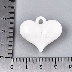 Opake Acryl Anhänger&nbsp;SACR-T017-45G