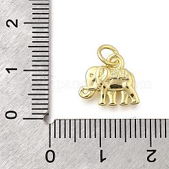 Messing Anhänger & Charms&nbsp;KK-F899-10G