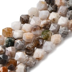 Chapelets de perles en agate de feuille de bambou naturelle&nbsp;G-Z119-A27-02