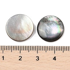 Natürliche schwarze Lippe Shell Cabochons&nbsp;SSHEL-I026-20D