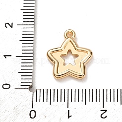 Aluminium Anhänger & Charms&nbsp;FIND-G116-02A-G