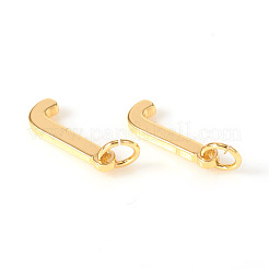 Breloques en laiton&nbsp;KK-I672-01J-G