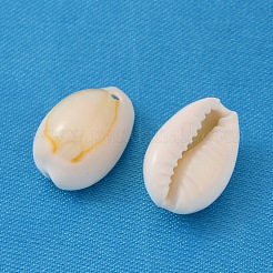 Pendenti conchiglia di ciprea naturale&nbsp;BSHE-Q297-3