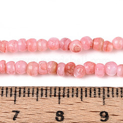 Brins de perles d'eau douce naturelles teints en coquille&nbsp;SHEL-T020-29B-06