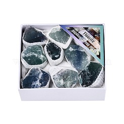 Campione minerale cornucopia di geode di fluorite naturale&nbsp;G-N360-04A