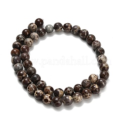 Brins de perles de jaspe astroite naturel&nbsp;G-H329-C02-8mm