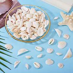 Kit fai da te per la creazione di gioielli con conchiglie naturali&nbsp;DIY-BT0001-37