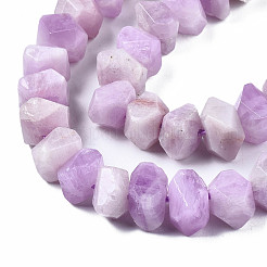 Naturperlen Stränge kunzite&nbsp;X-G-S376-008