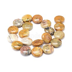 Fili di perline rotonde piatte di agata di pizzo naturale pazzesco&nbsp;G-M206-16