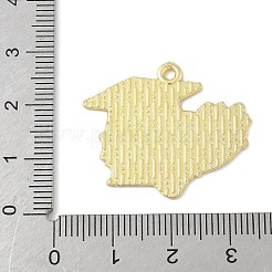 Fournitures scolaires pendentifs en alliage émaillé&nbsp;FIND-M083-03G-G