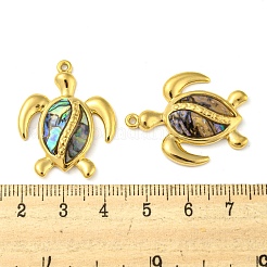 Natur Paua Muschel Anhänger&nbsp;X-STAS-P341-02G-01