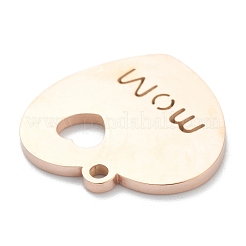 Pendentifs en acier inoxydable 304&nbsp;STAS-B016-08RG