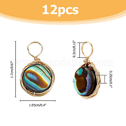 12 Stück natürliche Abalone-Muschel/Paua-Muschel-Anhänger&nbsp;SHEL-FI0001-01