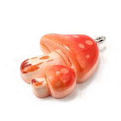 Pendentifs en résine&nbsp;FIND-U030-05B-P