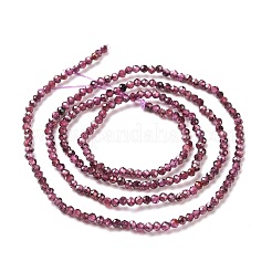 Natürlicher Granat Perlen Stränge&nbsp;X-G-O186-D01-A
