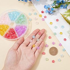 240 Stück 6 Farben transparent gespritzte Glasperlen&nbsp;GLAA-FH0001-28