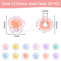 240pcs 12 Farben transparente Acrylperlen&nbsp;MACR-PH0001-75