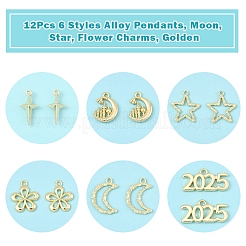 Ciondoli in lega 12 pz 6 stili styles&nbsp;FIND-FS0003-38G
