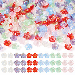 240 Stück 6 Farben UV-beschichtete Acryl-Perlenkappe&nbsp;OACR-TA0002-94