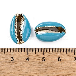 Perle di conchiglia di conchiglia elettrolitica&nbsp;SSHEL-M023-04B
