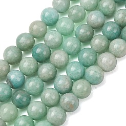 Chapelets de perles en amazonite naturelle&nbsp;G-F461-12-8mm-01AB