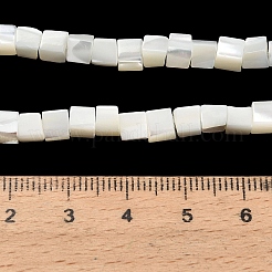 Natürliche Trochidschale / Trochusschalenperlenstränge&nbsp;SHEL-C010-05B