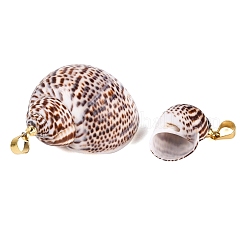 Anhänger aus Messing und natürlicher Spiralmuschel&nbsp;SHEL-Q029-27KCG
