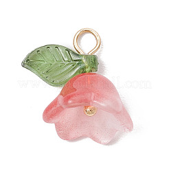 Pendente acilico&nbsp;PALLOY-TA00089