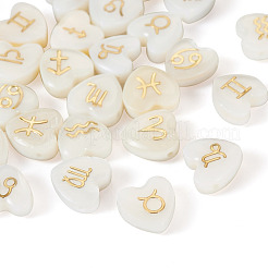 24 Stück 12 Stile natürliche weiße Muschelperlen&nbsp;BSHE-TA0001-10