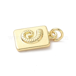Colgantes de latón&nbsp;KK-L239-055G-01