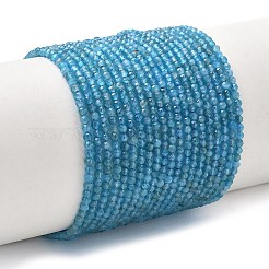 Natürliche Apatit Perlen Stränge&nbsp;G-Z160-A01-2mm