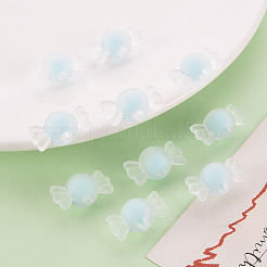 Perles en acrylique transparente&nbsp;LS-TACR-S152-13C-A07