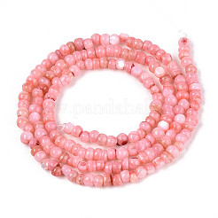 Brins de perles d'eau douce naturelles teints en coquille&nbsp;SHEL-T020-29B-06