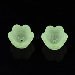Transparente Acryl Perlen&nbsp;FACR-N005-001
